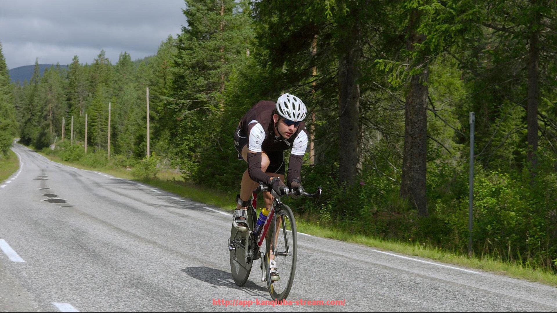看球吧直播-世俱杯赛中突发事件处理机制及成功应对案例分析